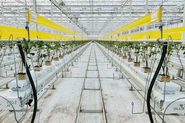 Canaan to provide crypto waste heart to nordic district heating network