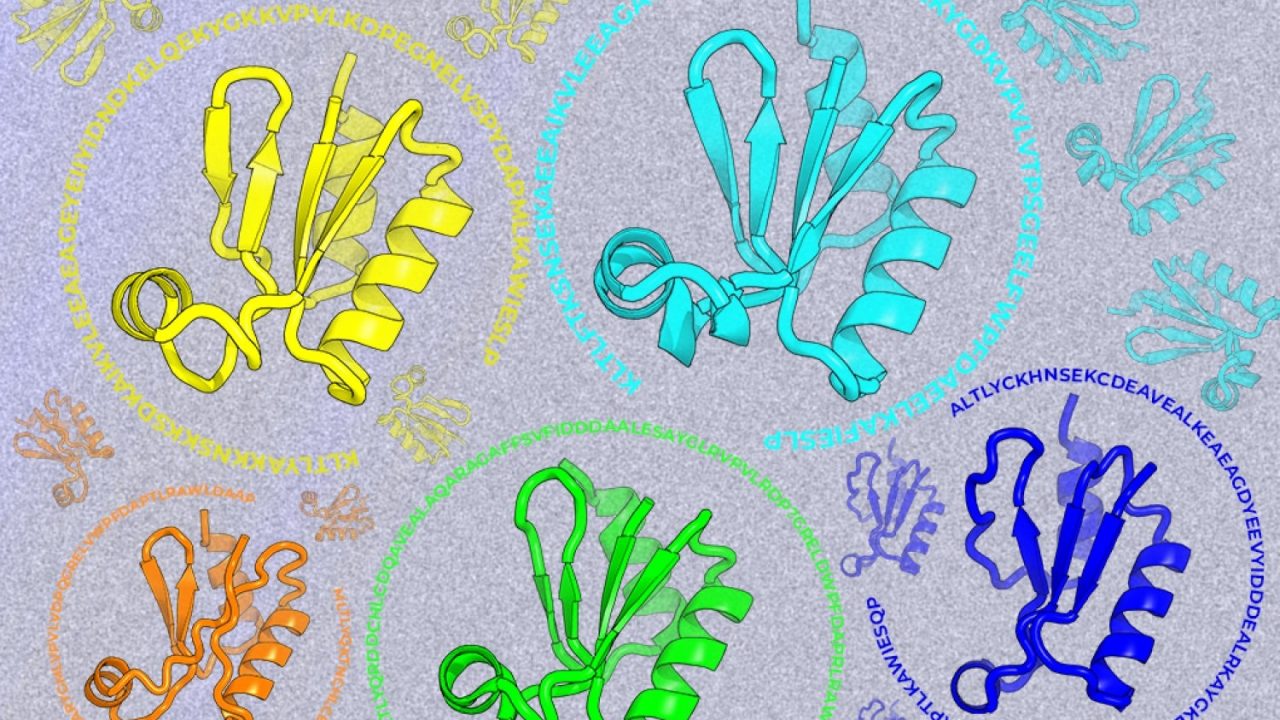 Looking beyond natural sequences