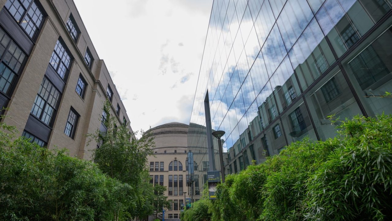 MIT Quantum Initiative launches postdoctoral fellowship program