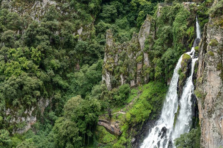 Mexican authorities seize cryptomine amid suspected cartel funding links