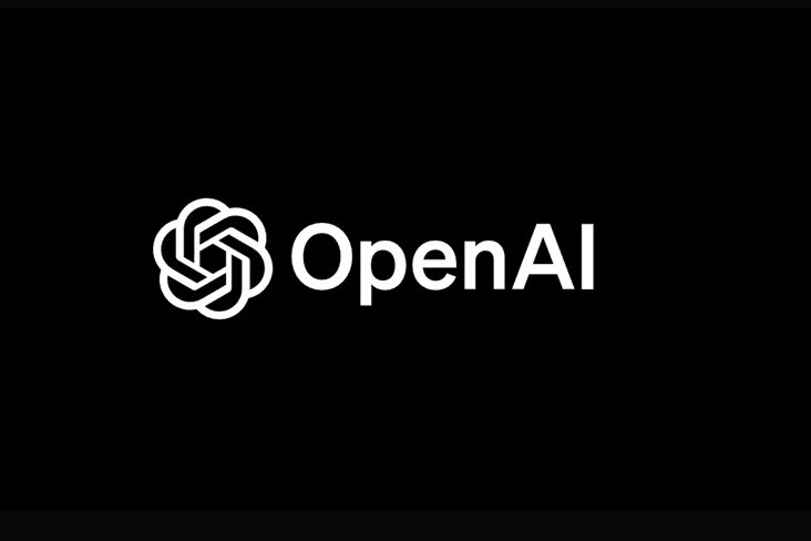 OpenAI applies for federal permit to build portion of Effingham County, Texas, data center on wetlands – report