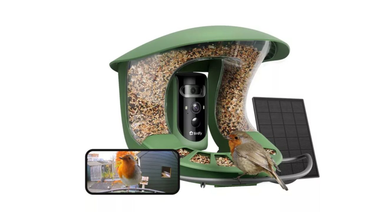 How computer vision is democratizing wildlife observation: Inside the AI of smart bird feeders